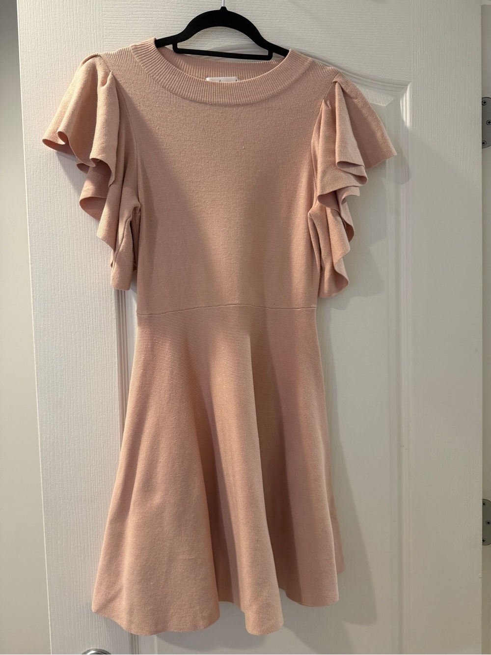 Chicwish Blush Pink Ruffle Sleeve Knit Dress for Girls